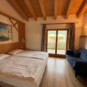 B&B Longanorbait